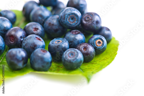 Fresh blueberry on green leaves