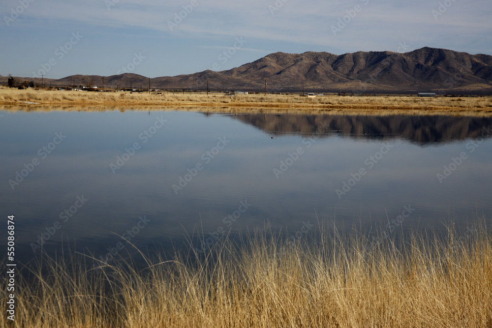Cochise Lakes, Twin Lakes near Willcox