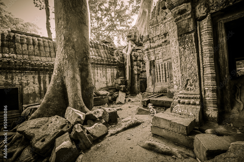 Ta Prohm Stock Photo Adobe Stock
