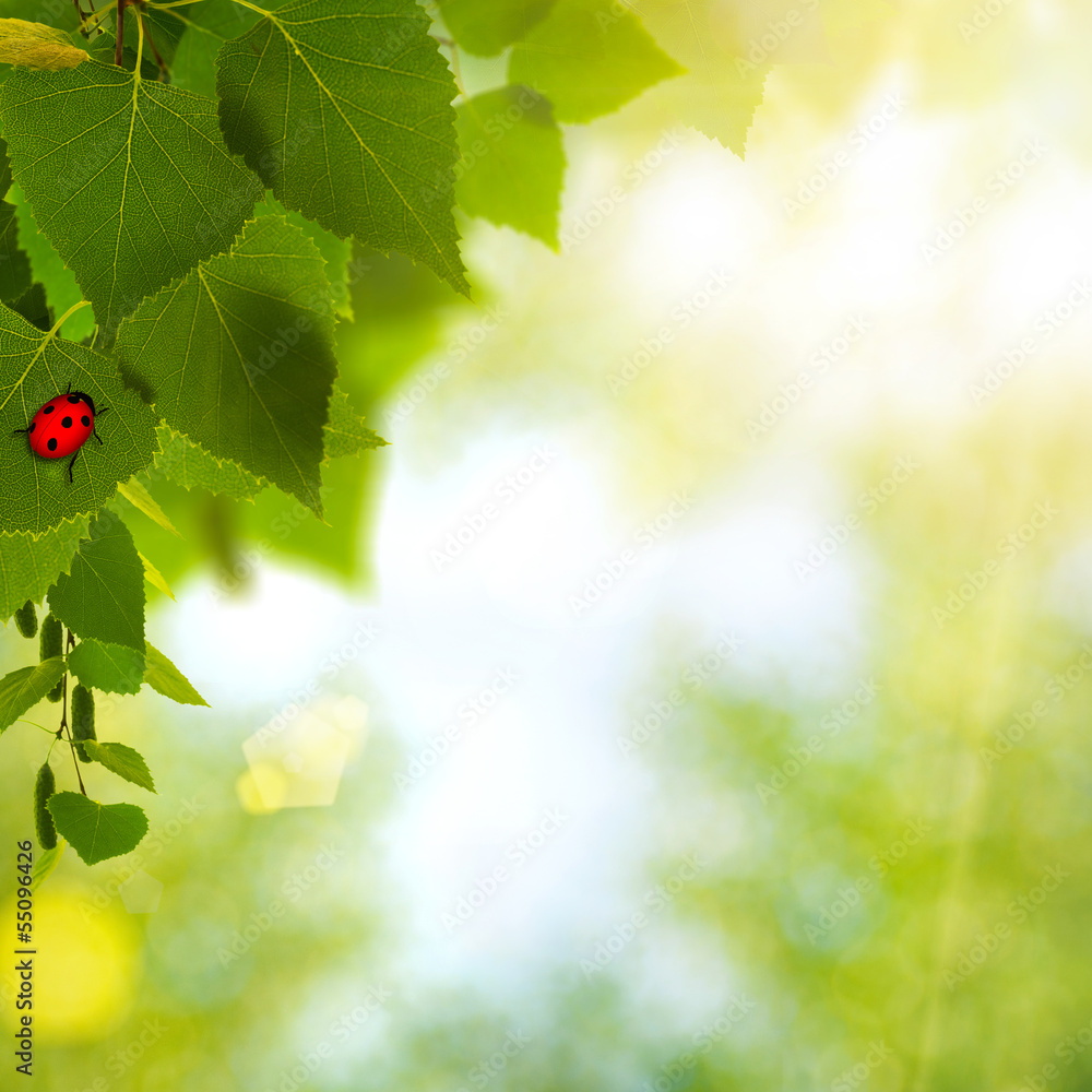 Ladybug. Abstract environmental backgrounds for your design Ladybug. Abstract environmental backgrounds for your design