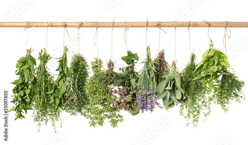 varios fresh herbs hanging isolated on white