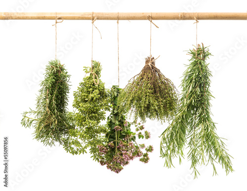 hanging bunches of fresh herbs isolated on white