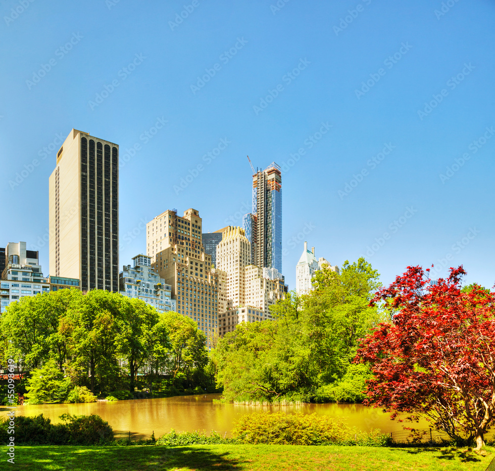 New York City cityscape on a sunny day New York City cityscape on a sunny day