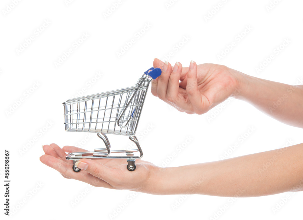Hands hold empty shopping cart for sale Hands hold empty shopping cart for sale