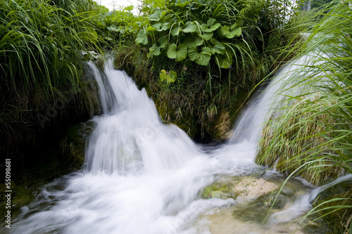 stream