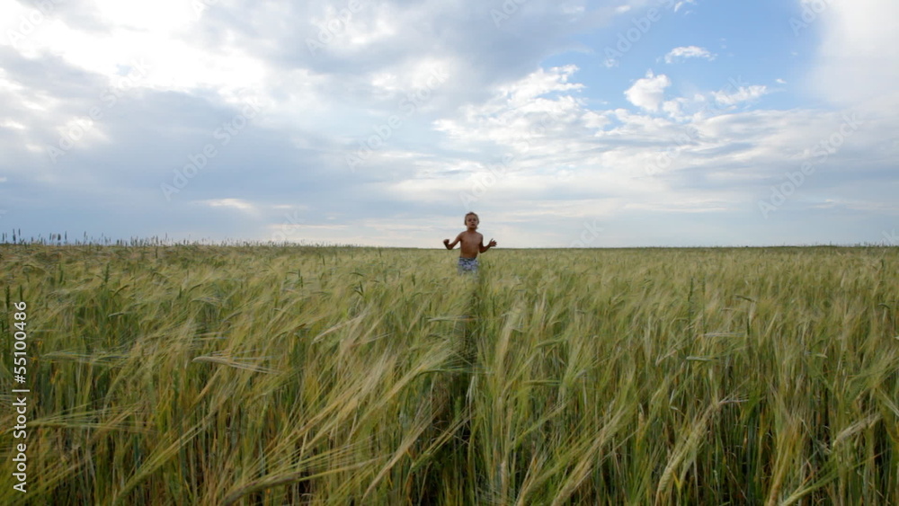 Boy running in the field in a hot summer day Boy running in the field in a hot summer day