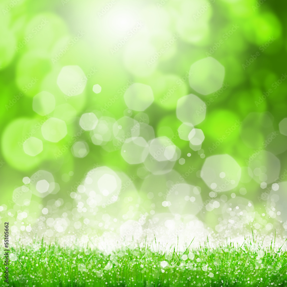 Fototapeta premium Summer image