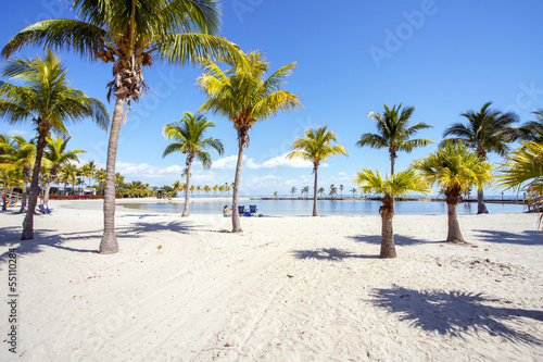 Miami Beach Lagune