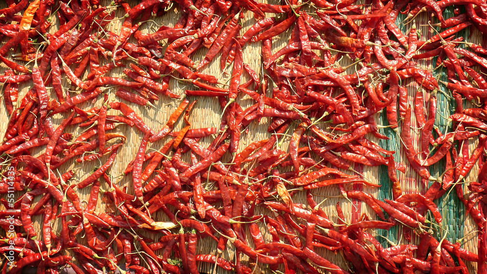 Drying the red hot chile pepper Spice Market in India Kerala Drying the red hot chile pepper Spice Market in India Kerala