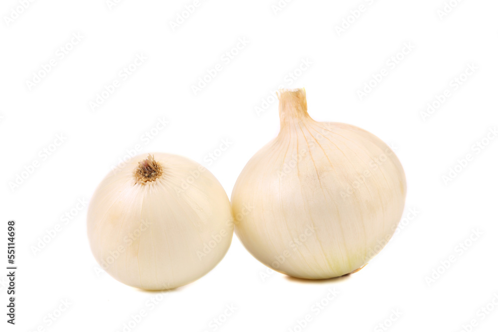Fototapeta premium white onion