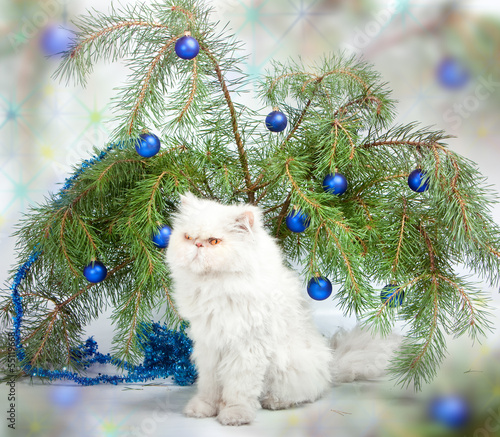 New Year's picture.branch with New Year balls and a cat.. © Konstantin Kulikov