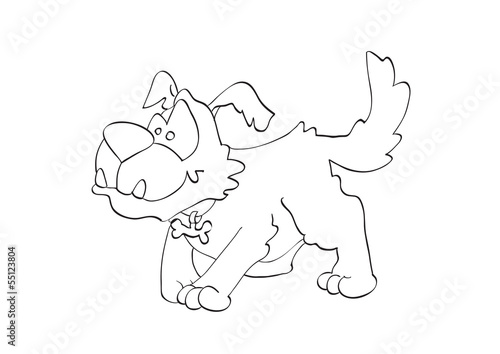 contour  of mongrel dog on isolated white background