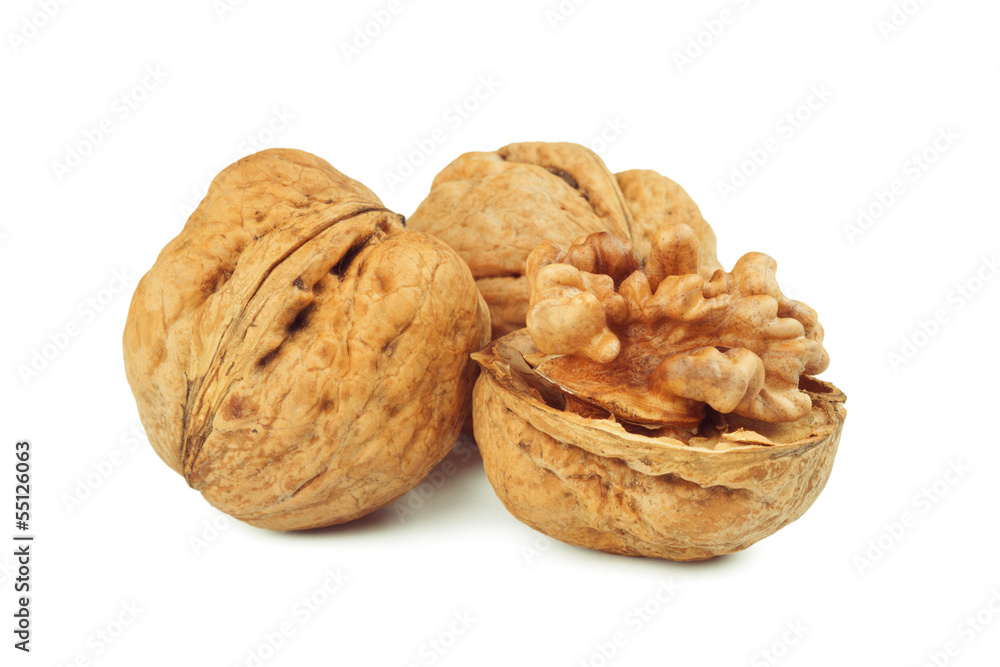 walnut walnut