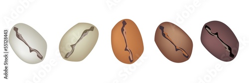Different Colors of Coffee Beans in A Row