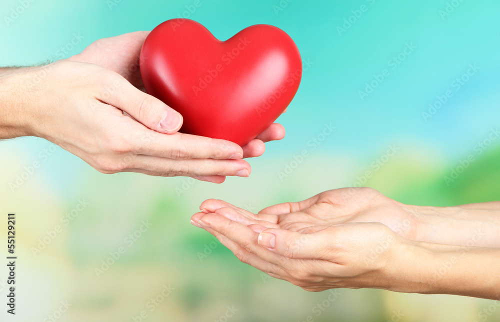 Heart in hands on nature background Heart in hands on nature background