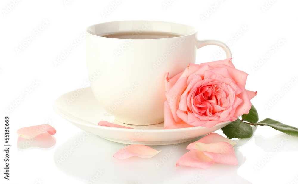 cup of tea with rose isolated on white cup of tea with rose isolated on white