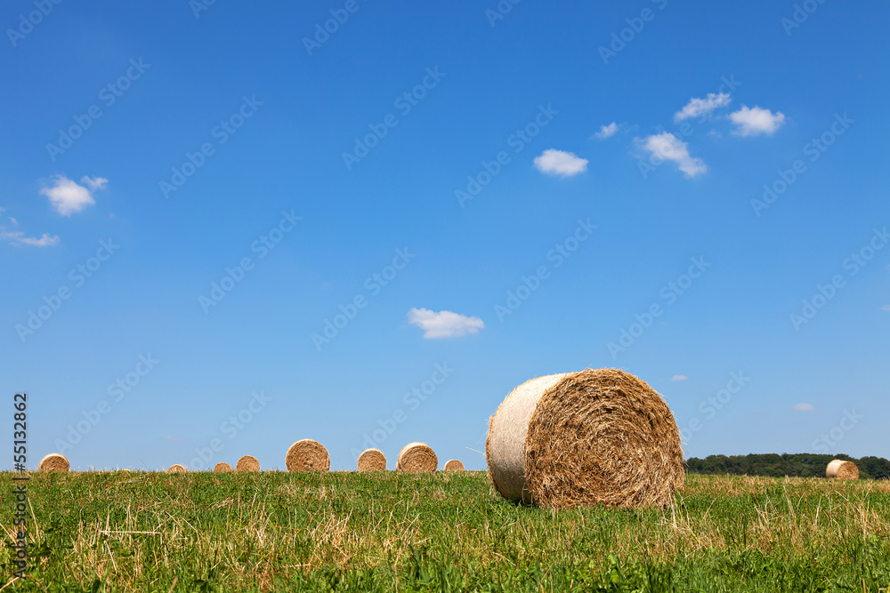 Straw Bales on a field