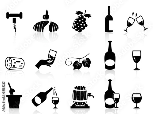 grape wine icons set