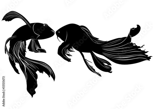 goldfish carp vector isolated on white background