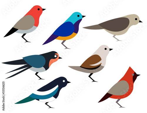 Set of different birds
