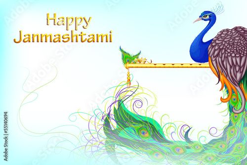 vector illustration of colorful Peacock in Janmashtami