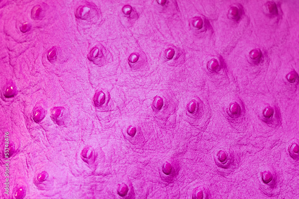 Magenta ostrich leather Magenta ostrich leather