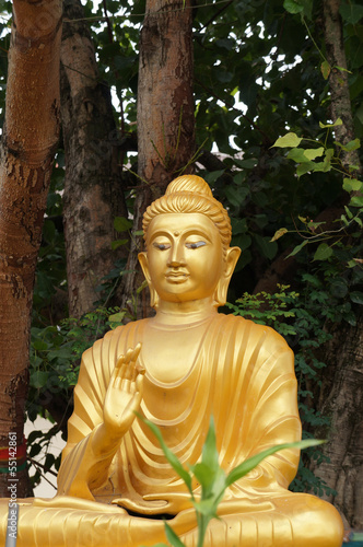 Golden buddha statue in a temple in Udon Thani