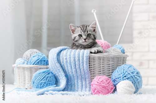 Fototapeta Kitten in a basket with balls of yarn