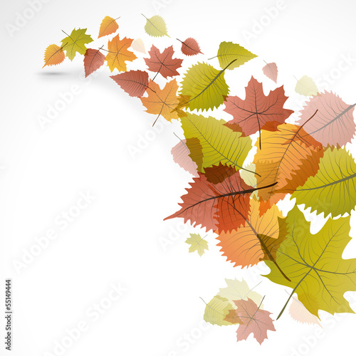 Vector autumnal background