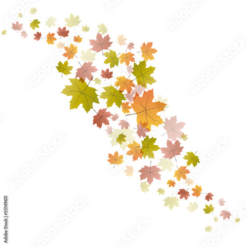 Vector autumnal background