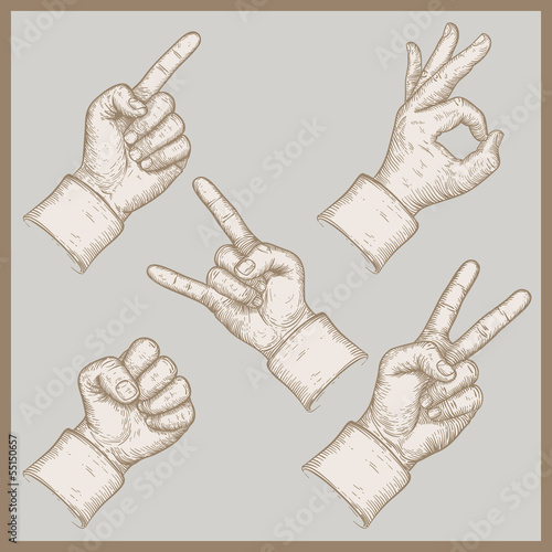 image of five hands