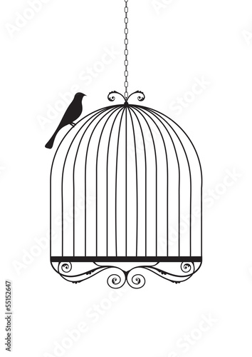 Birdcage
