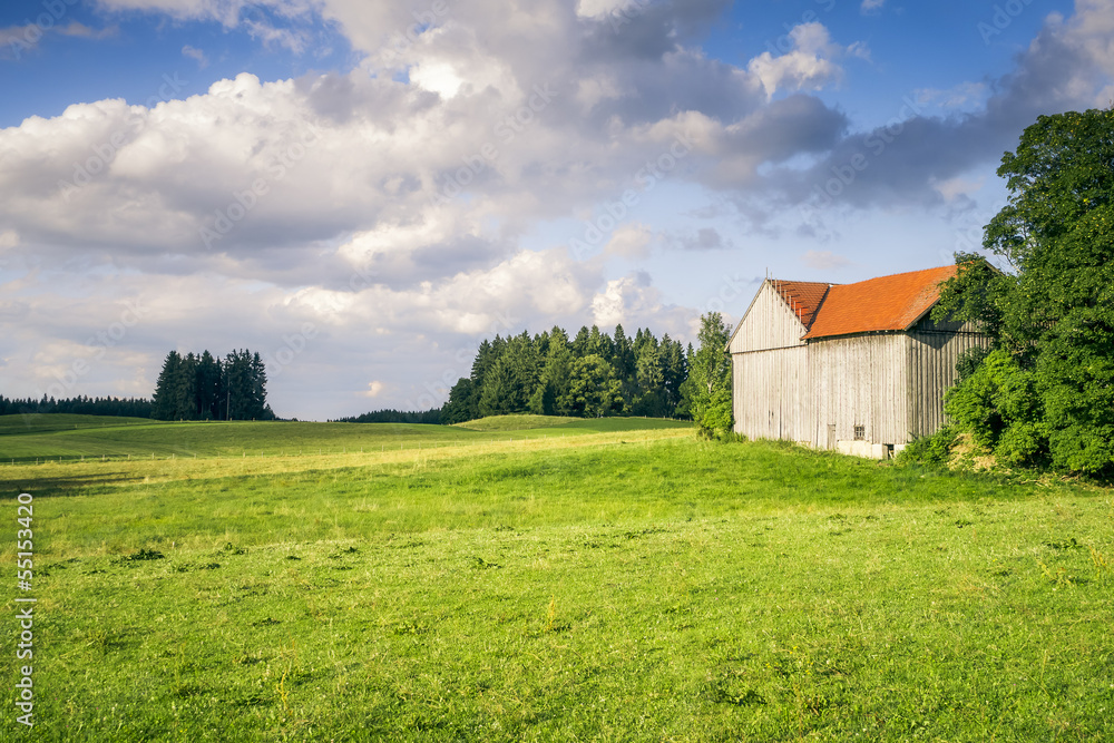 meadow with a hut meadow with a hut