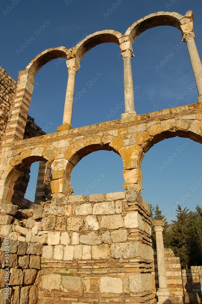 Obraz premium Ruins of Anjar