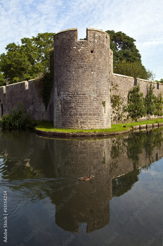 Bishop's Palace and Moat in Wells