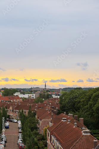 Wallpaper Mural Dutch residential area with green trees and cloudy sky at sunset Torontodigital.ca