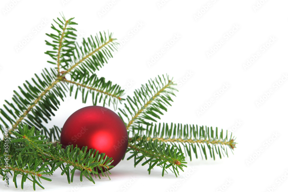 Tannenzweig Weihnachten StockFoto Adobe Stock