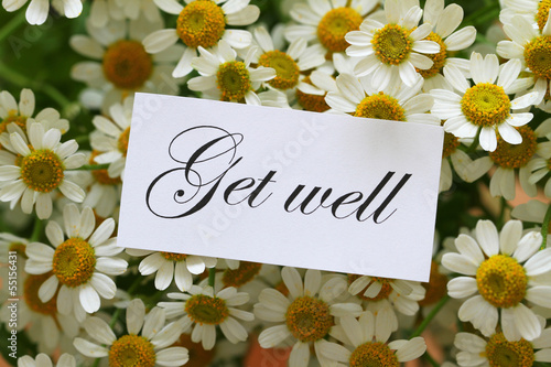 Fototapeta Naklejka Na Ścianę i Meble -  Get well note on chamomile flowers