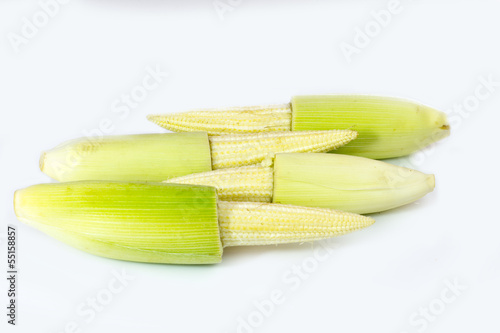Baby corn isolated on white background