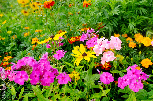 Flowers in the garden