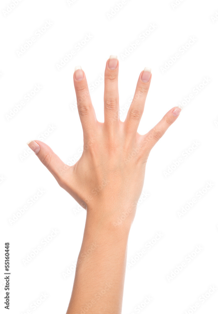 Manicured female open hand gesture number five fingers up Manicured female open hand gesture number five fingers up