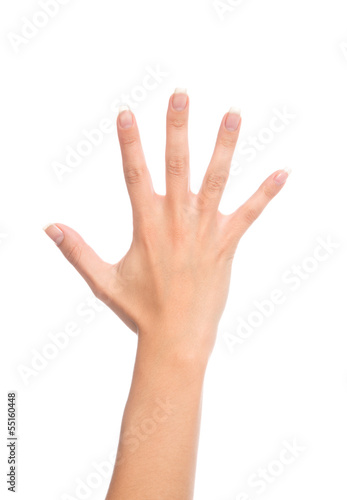 Manicured female open hand gesture number five fingers up