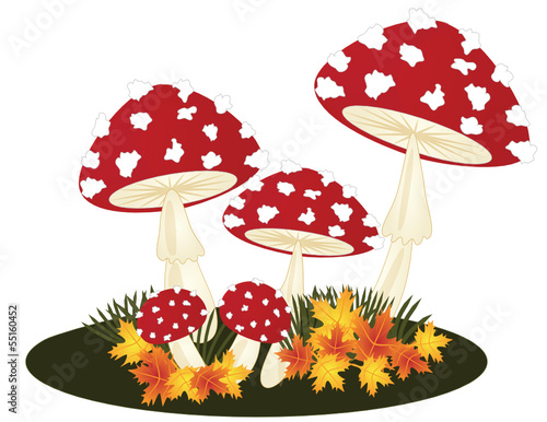 Fliegenpilze
