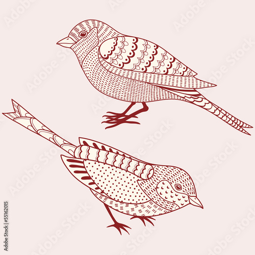 Two birds