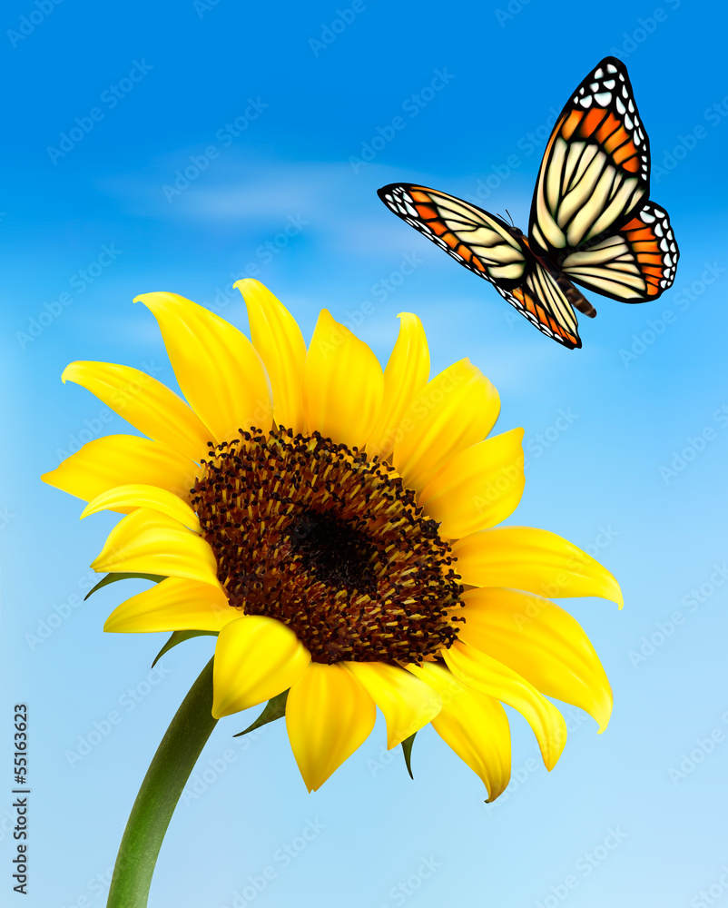 Nature background with sunflower and butterfly. Vector illustrat Stock ...