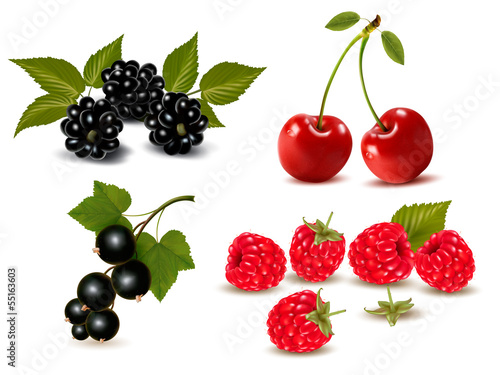 Fototapeta Naklejka Na Ścianę i Meble -  Big group of fresh berries and cherries. Vector illustration