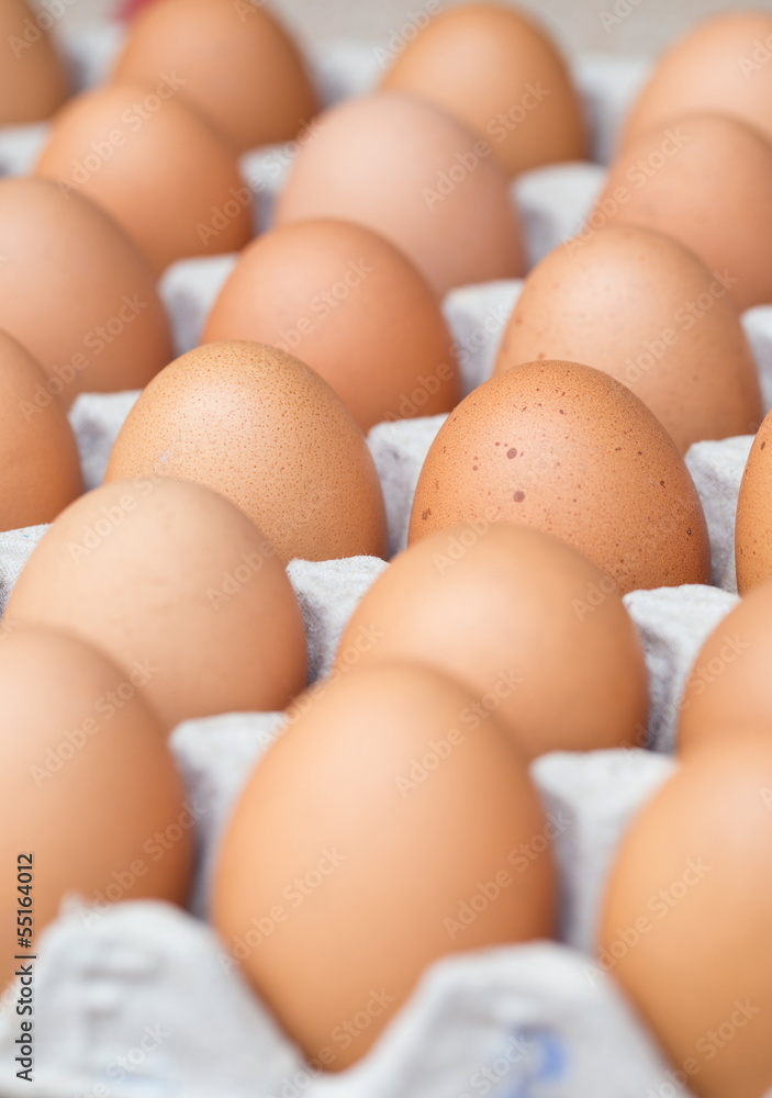 chicken eggs chicken eggs