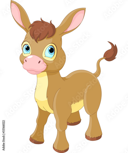 Cute Smiling Donkey