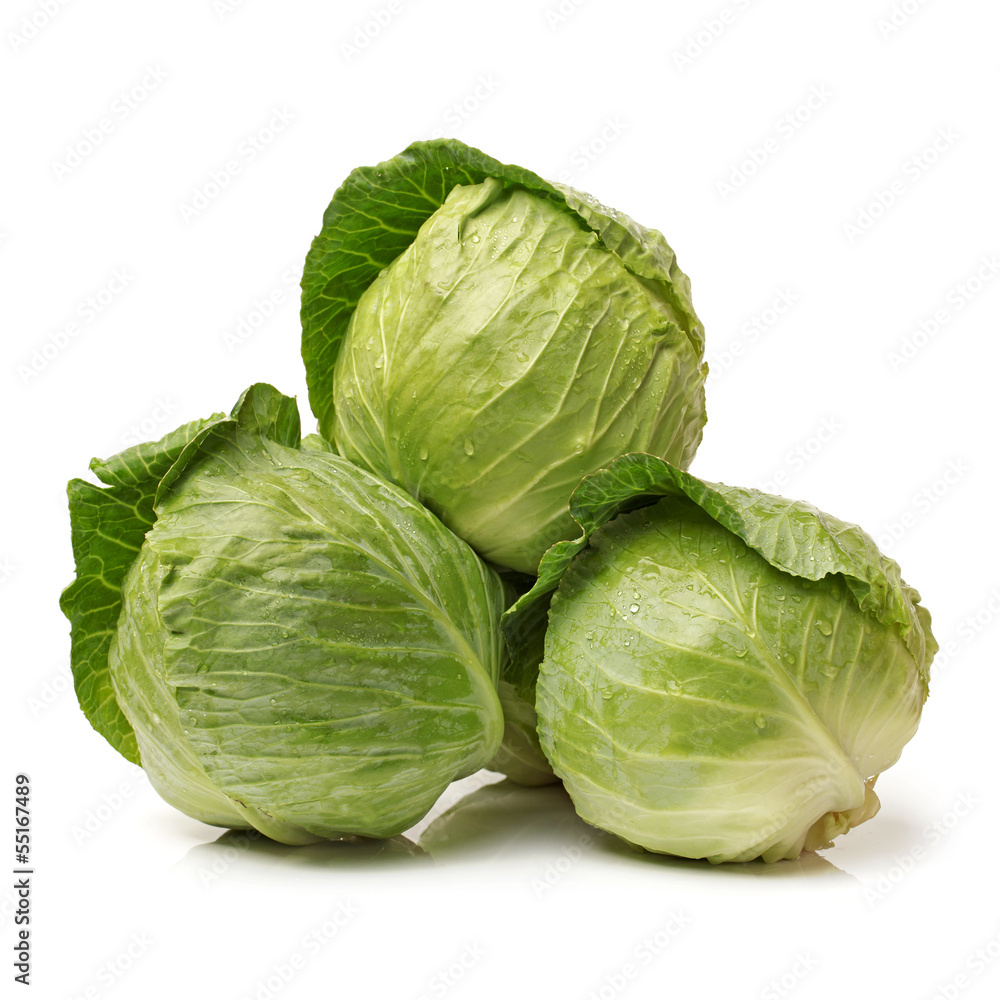 cabbage on white background cabbage on white background