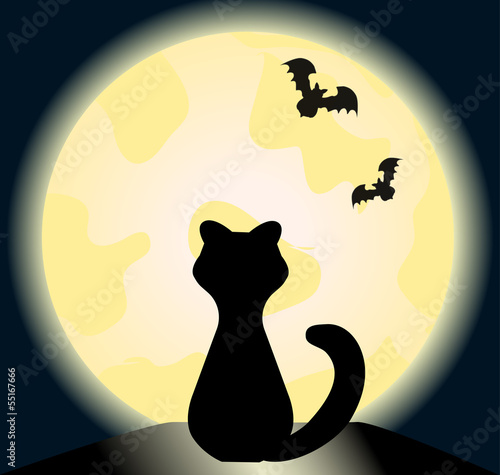 Halloween cat  against a full moon with vampire bats